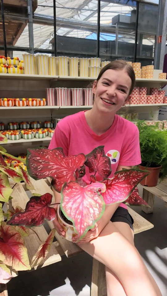 Vous auriez fait quoi vous ? 🤔

#jardinerie #ferrierefleurs #humour #pourboire #fleurs