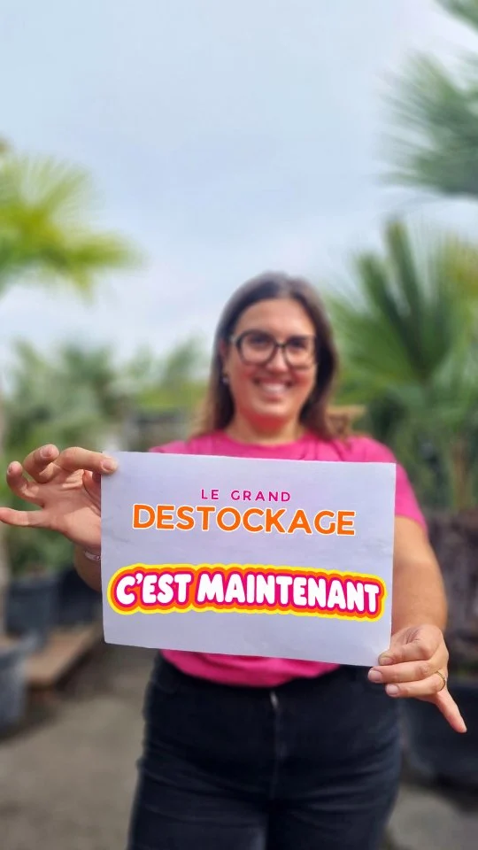 On y croit pas trop, mais au cas où tu aurais loupé l'info...

LE GRAND DESTOCKAGE, C'EST MAINTENANT 🥳

C'est parti pour 3 jours de bonnes affaires :
🌸 Des lots de plantes à 1€, 5€, 10€ et 20€
🌸 Du -50% sur une sélection de végétaux exceptionnelles 
🌸 Et une offre 2+1 sur le terreau universel

Bref c'est maintenant ou jamais !

📅 02, 03 et 04 octobre 
🕘 Vendredi et samedi : 9h-19h
🕘 Samedi : 9h-17h30

#ferrierefleurs #jardinerie #destockage #fleurs #jardin