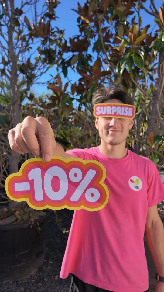 Dernière annonce... et celle-ci devrait vous plaire !

💥 -10% sur TOUT le magasin 
dimanche 04 octobre de 14h à 17h30

Et ça, en plus de toutes les offres déjà prévues pour le GRAND DESTOCKAGE !

Ce dimanche après-midi risque d'être intéressant ✌️

📍 Végétalerie Ferriere Fleurs, L'Arbresle (69)

#destockage #surprise #jardinerie #ferrierefleurs #fleurs