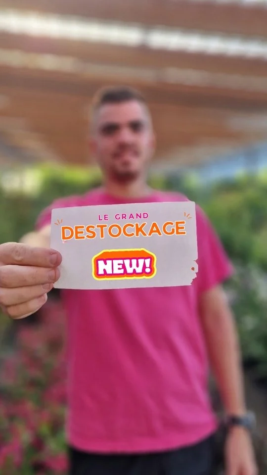 Le GRAND DESTOCKAGE, c'est non-stop pendant 3 jours ! 

🌸 Vendredi 02 octobre : 9h à 19h
🌼 Samedi 03 octobre : 9h à 19h
🌿 Dimanche 04 octobre : 9h à 17h30

3 jours, des bonnes affaires et vous venez quand vous voulez !

📍 Végétalerie Ferriere Fleurs, L'Arbresle (69)

#destockage #ferrierefleurs #jardinerie #nonstop #destockage