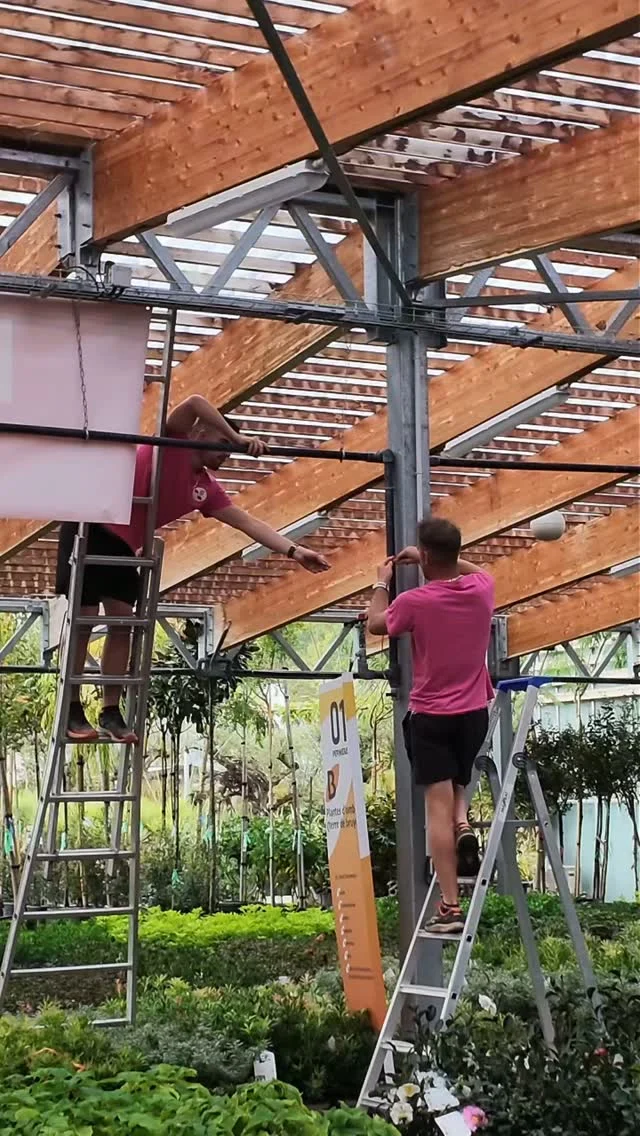 Le GRAND DESTOCKAGE prend forme, J-2 🥳

📅 Rendez-vous les 02, 03 et 04 octobre
🕘 vendredi et samedi : 9h-19h
🕘 samedi : 9h-17h30

#destockage #ferrierefleurs #jardinerie #fleurs #offre