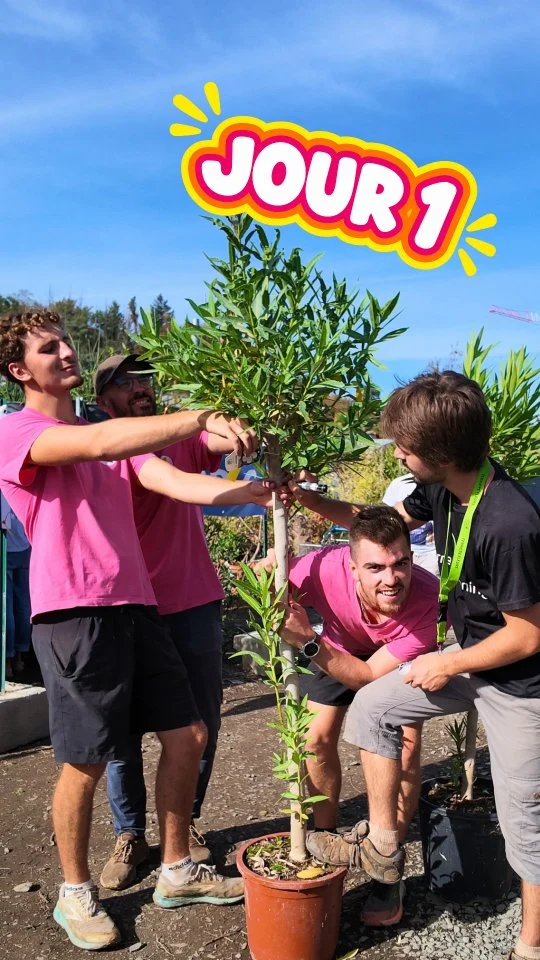 Le GRAND DESTOCKAGE en un mot ? ☝️

#ferrierefleurs #jardinerie #destockage #jour1 #offre