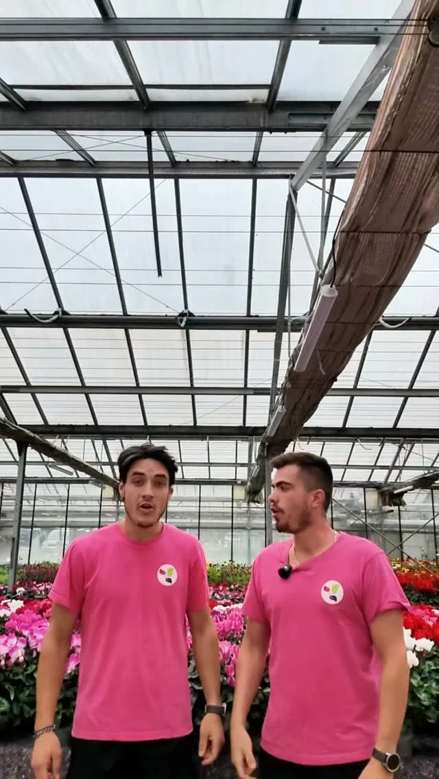 Une belle mise en lumière pour FERRIERE Fleurs !

Cyrille a été invité en plateau pour présenter notre entreprise, notre métier et notre passion du végétal 🌿

Retrouver son passage complet en story a la une. 

#ferrierefleurs #bfm #interview #plateau #entreprise