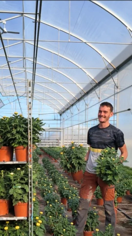 🌼 C'est demain !

Les chrysanthèmes pour la Toussaint arrivent demain à la Végétalerie. On profite de cet après-midi pour tout installer et vous préparer une belle sélection.

Dès demain vous pourrez donc choisir vos plantes, repartir avec ou les réserver pour venir les récupérer à l'approche de la Toussaint.

À demain 🌻

#jardinerie #ferrierefleurs #chrysanthème #toussaint #production
