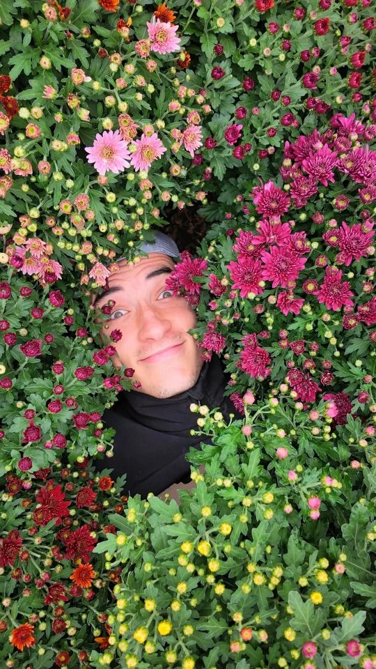 Dans notre Végétalerie, les chrysanthèmes, c'est toute une histoire de famille !

Près de 10 000 chrysanthèmes produits chaque années, un sacoir faire transmis de génération en génération et une tradition qui continue de fleurir 🌸🌿

#ferrierefleurs #jardinerie #chrysanthemum #toussaint #automne